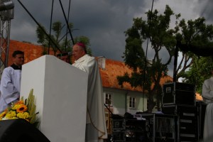 IMG_3470