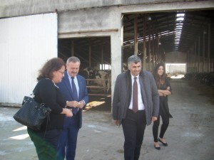 IMG_0020-001